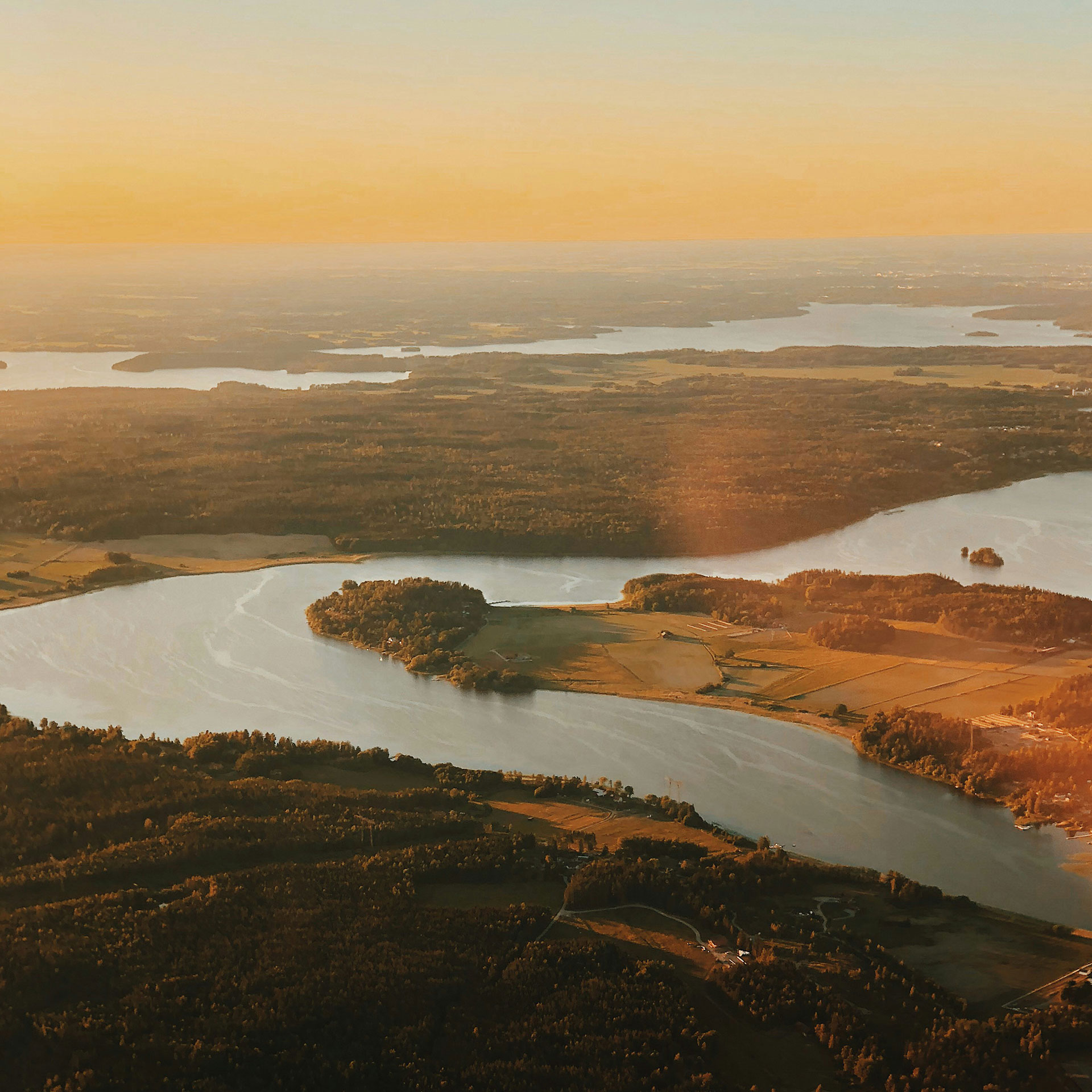 Miljöbild från ovan över skog och hav i svagt solljus